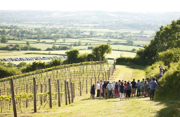 WineGB releases roadmap to successful 2025