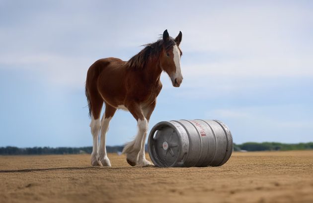 AB InBev releases ‘heartfelt’ Bud advert for the Super Bowl