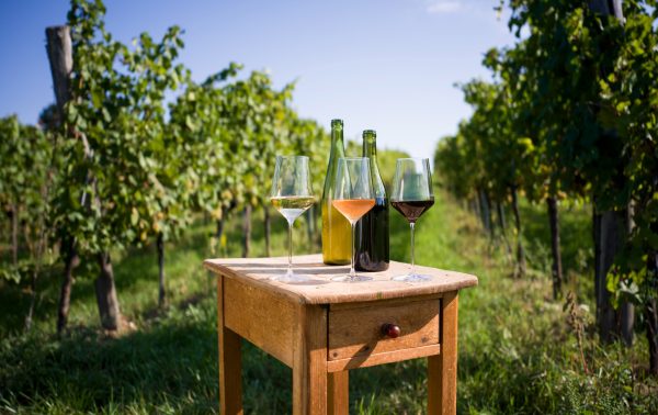 Why are more consumers seeking out Austrian wine?