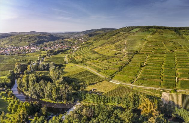 Austria puts single vineyards at heart of strategy
