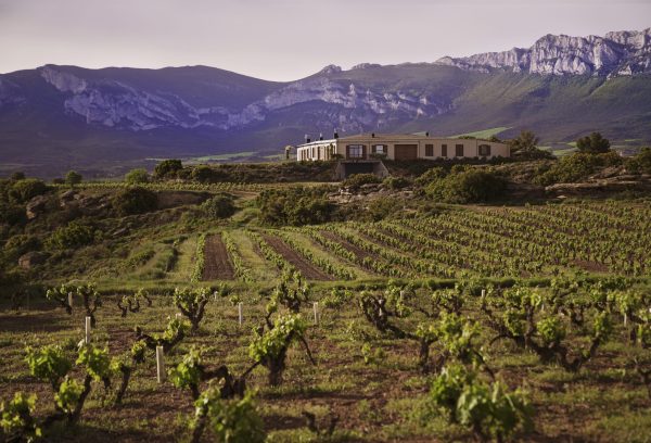 How Rioja Alavesa packs a lot of potential into a small region