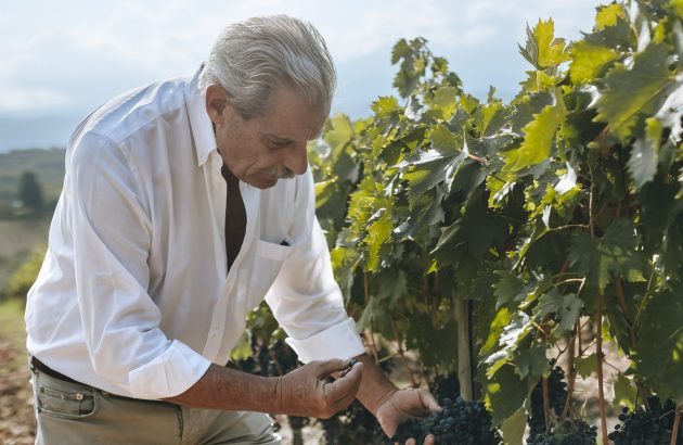 Can ‘rolling back’ counter climate change in Tuscan vineyards?