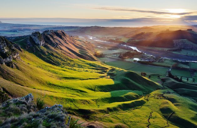 Hawke’s Bay rebounds with ‘exceptional vintage’ after cyclone