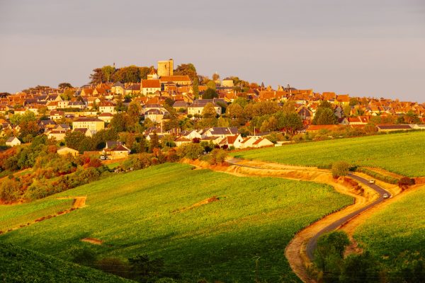 The Loire Valley heads to London for exclusive tasting