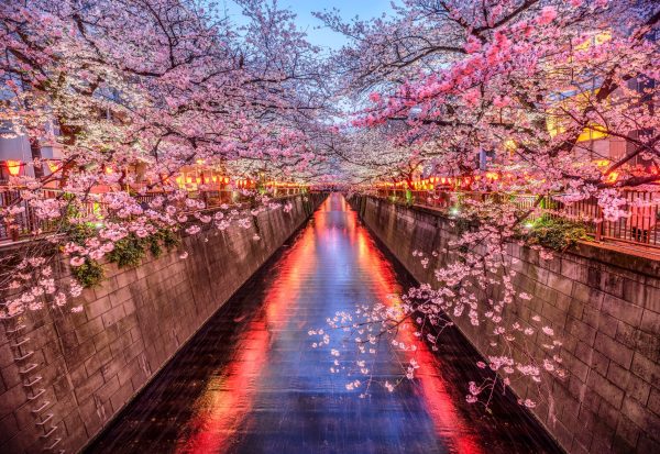 Spring into action: what to expect from ProWine Tokyo 2025