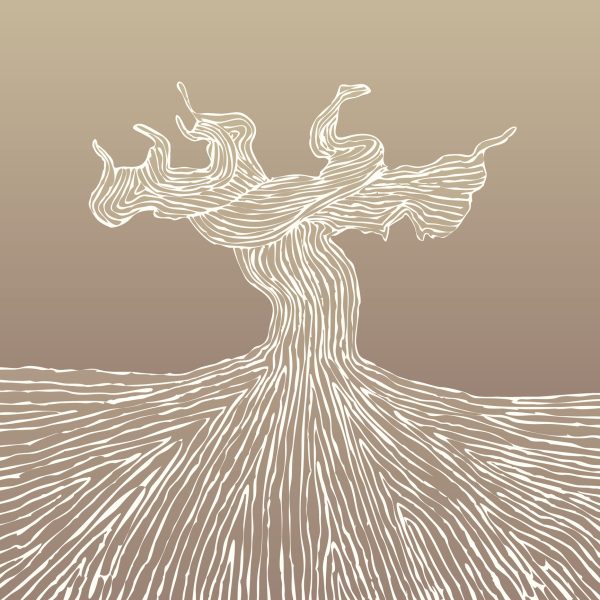 Old Vine Registry passes 4,000 vineyard entries