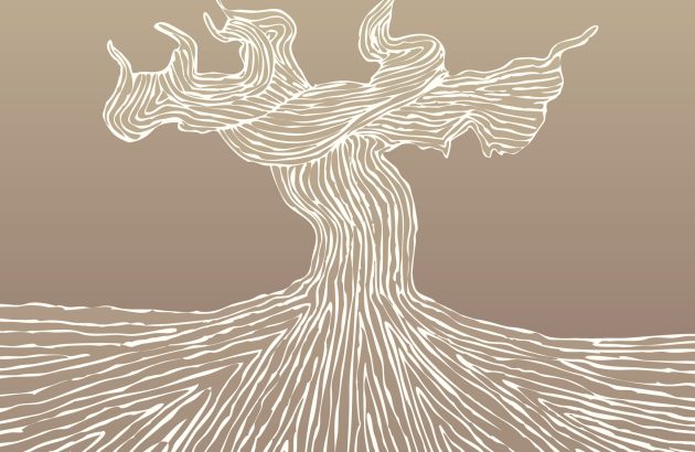 Old Vine Registry passes 4,000 vineyard entries