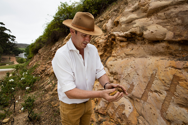 ‘Budget Burgundy for the world’: Hamilton Russell at 50