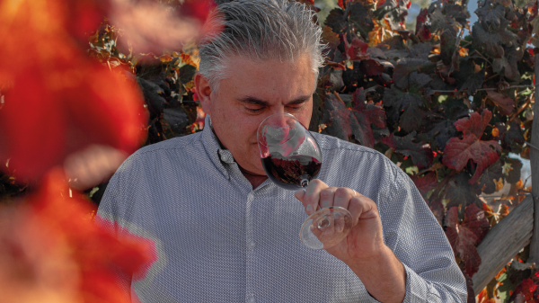Master Winemaker 100: Silvio Alberto