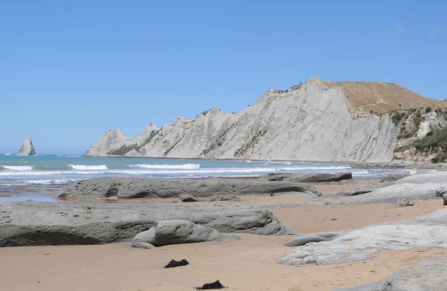 Hawke’s Bay vintners elated over ‘legendary’ vintage