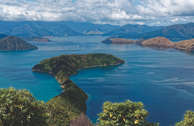 What’s the secret to New Zealand’s diverse Pinot Noirs?