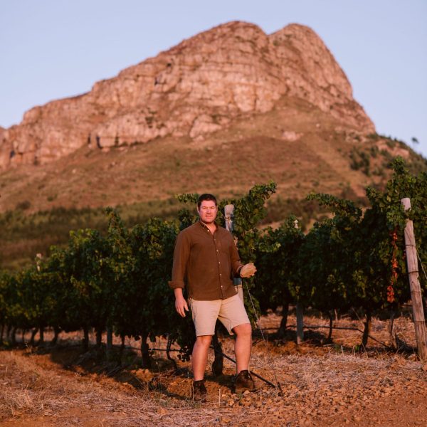 Master Winemaker 100: Johan Jordaan