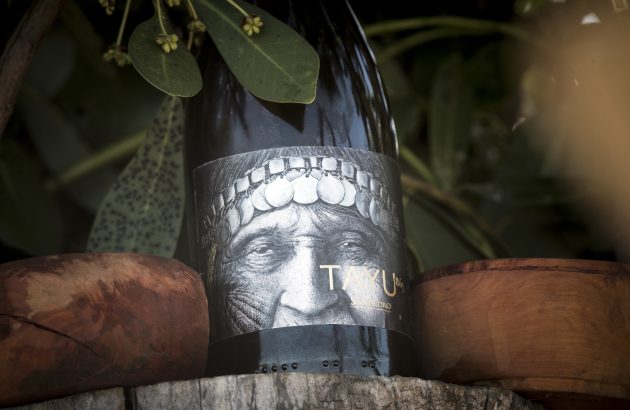 Indigenous winemaking hits its stride in the Malleco Valley