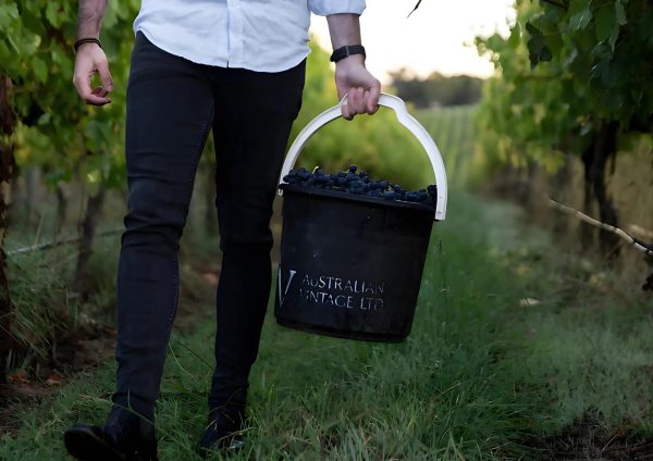 Australian Vintage plans expansion of key brands in Asia