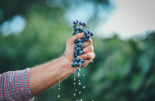 Is this the year of the high-end harvest party?