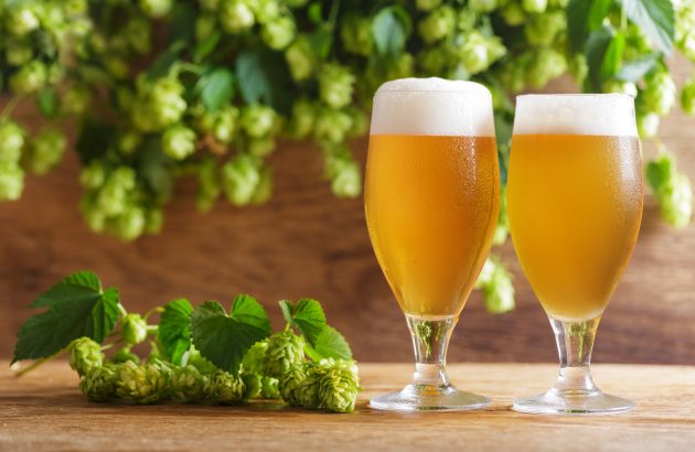 EU brewers ditch US hops for NZ varieties