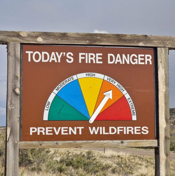 Senators fight to support smoke-affected vintners