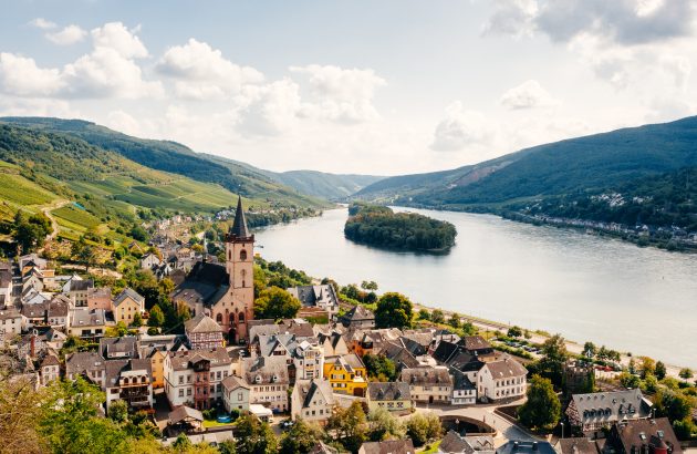 German wine exports grow in volume but value holds steady