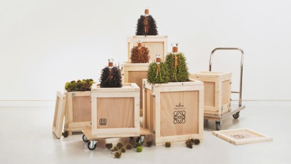 Fashion meets spirits: LOEWE and Hennessy collaborate on Paradis Carafe