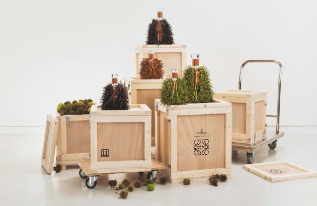 Fashion meets spirits: LOEWE and Hennessy collaborate on Paradis Carafe