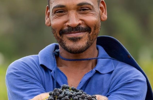 South Africa makes strides in sustainability