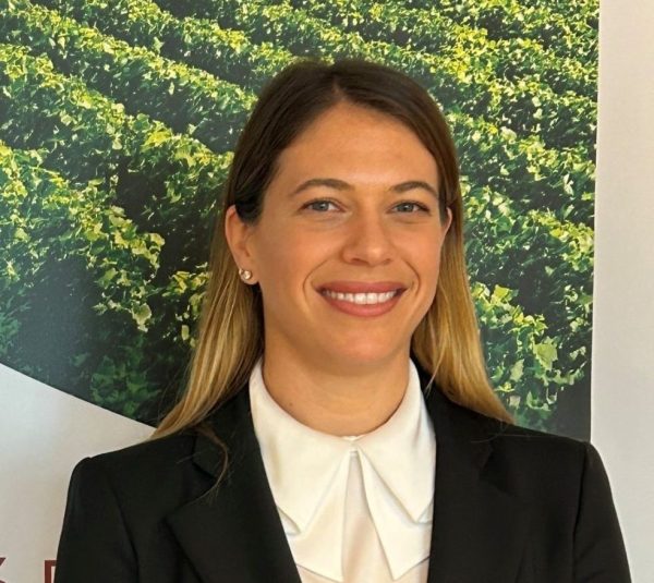 New CEEV president named