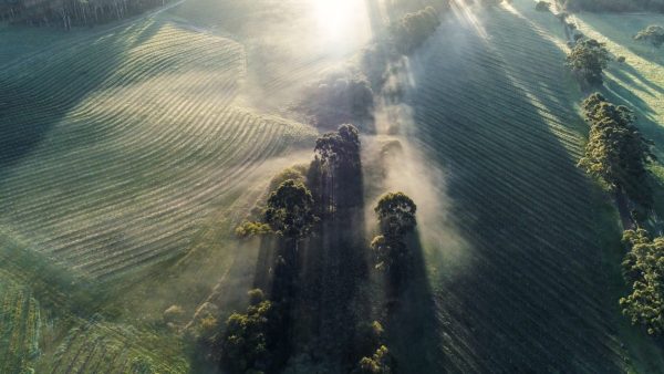 Regional spotlight: Western Australia’s Margaret River