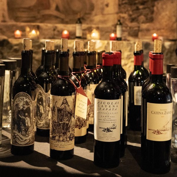 Birth of Cabernet: fine wine tells ‘the coolest story nobody knows’