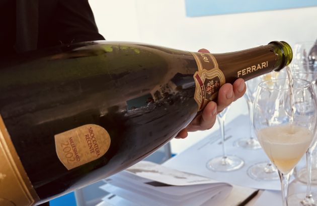 How vines at altitude can navigate climate change