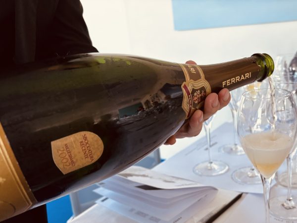 How vines at altitude can navigate climate change