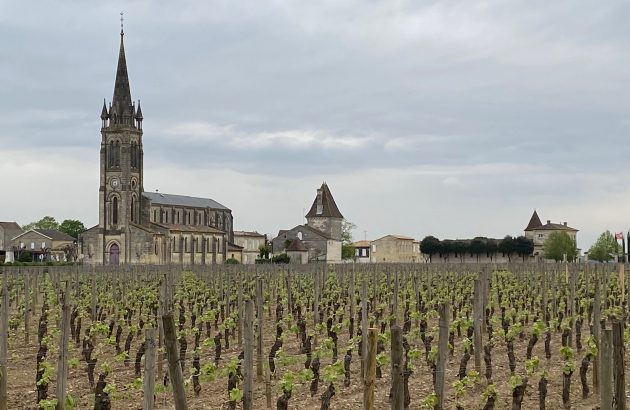Bordeaux 2024 in a nutshell: a pyramid-shaped vintage