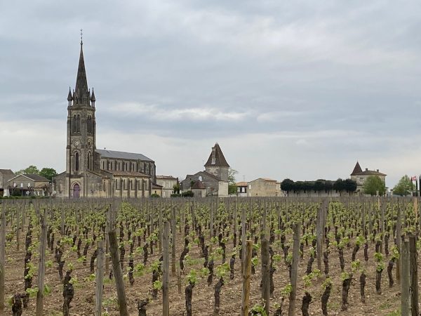 Bordeaux 2024 in a nutshell: a pyramid-shaped vintage