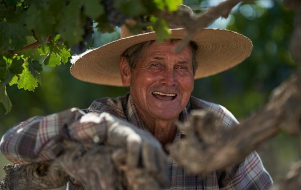 Santa Rita Estates takes top prize at Positive Luxury Awards