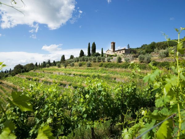 Camartina: ‘a gem of a Super-Tuscan’