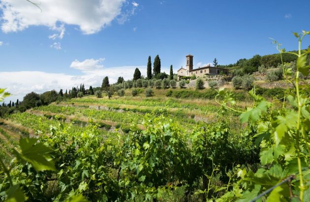Camartina: ‘a gem of a Super-Tuscan’