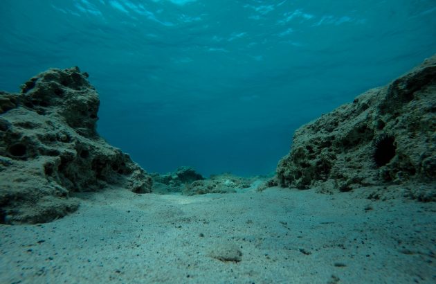 Flotsam, jetsam and elixirs: Falernum goes submarine