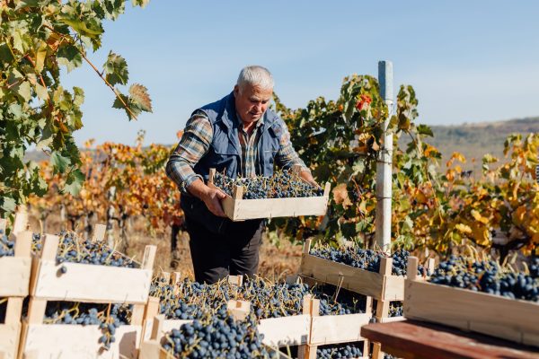 Scaling up organics: the realities behind going big without chemicals