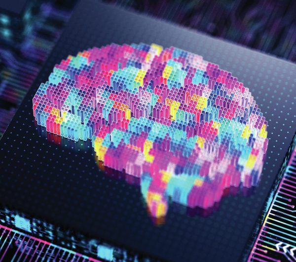 How the wine trade can make the most of AI on a budget