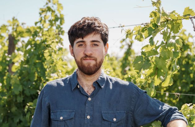 Zero alcohol outpacing low abv wines