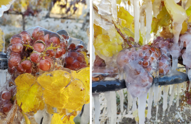 Otronia aims to redefine extreme winemaking in Patagonia