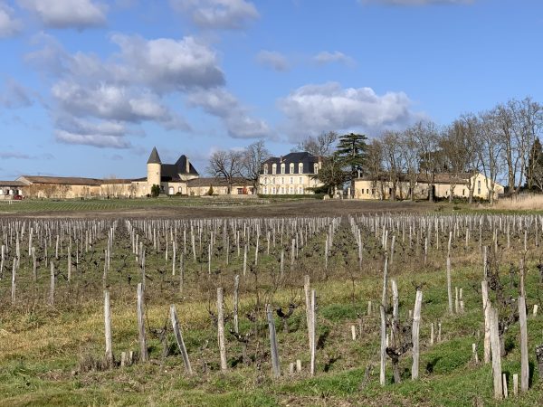 Bordeaux 2024 en primeur: Sauternes & Barsac