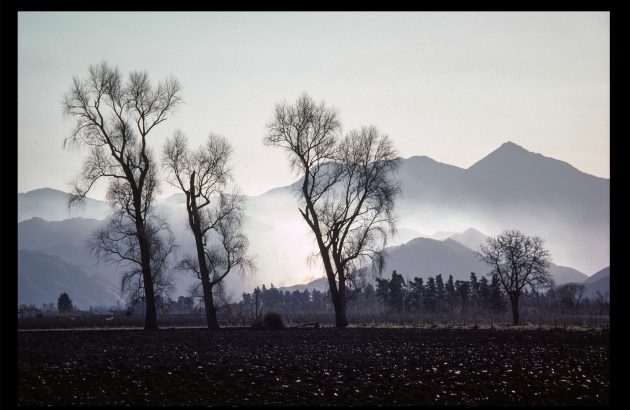 Farewell Spit, Mount Riley and a trophy trout: the making of Cloudy Bay