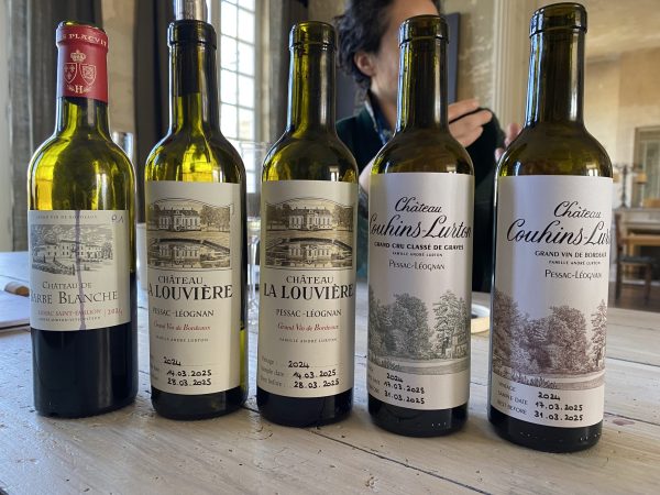 Pessac-Léognan, Graves & Bordeaux whites 2024: tasting notes