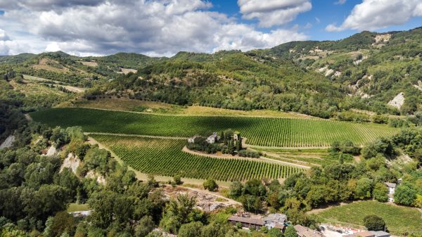 Poderi dal Nespoli shows evolving potential of Romagna