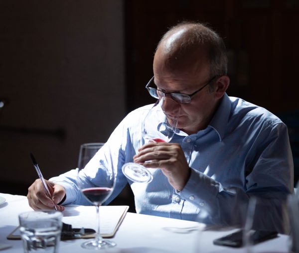 WSTA appoints new executive board members