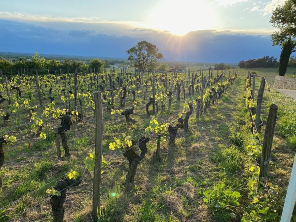 Bordeaux 2024 en primeur: taking stock of the campaign at half-time