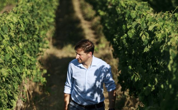 The trials and tribulations of producing Tuscan Chardonnay