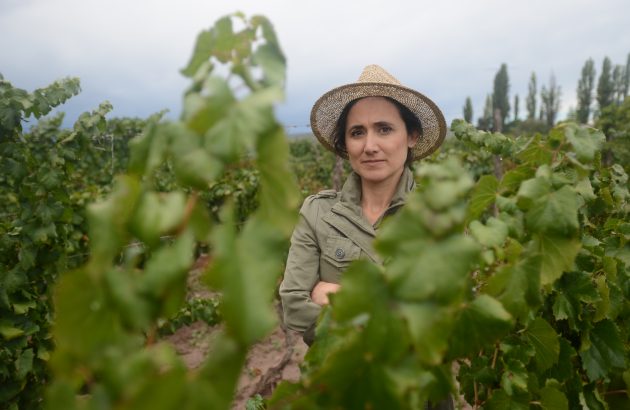 Organic wine in Mendoza: ideal climate, hidden costs