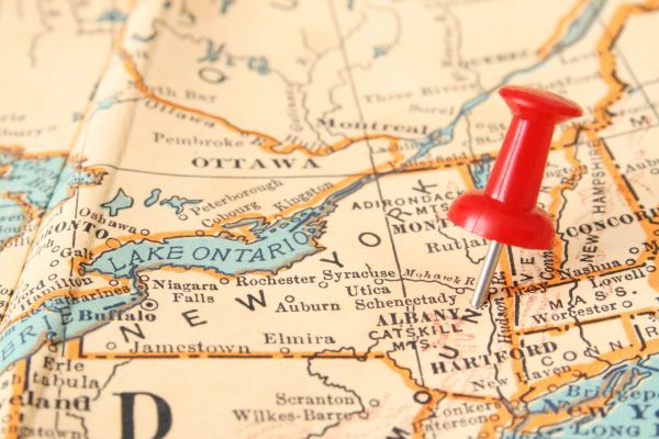 New York to conduct statewide vineyard survey