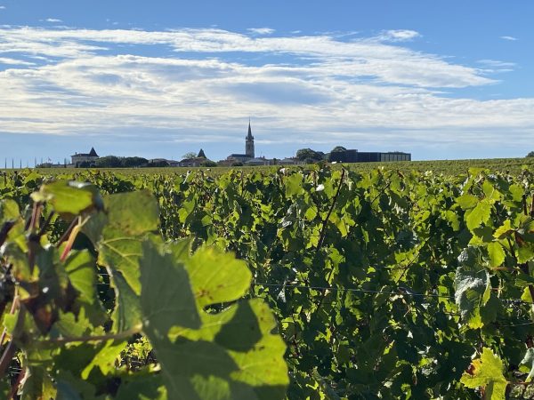 Bordeaux 2024 en primeur: Pomerol ‘vanishingly small’ line-up